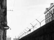 KULTURA: Asimmetrie specularità, letteratura delle Germanie