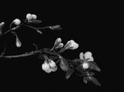 SPRiNG. FiNaLLY!!!!!!!!