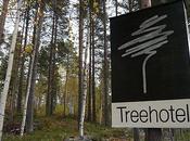 Tree Hotel