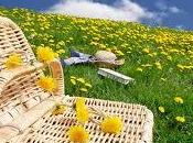 Pasqua Pasquetta? cestino speciale vegetariano