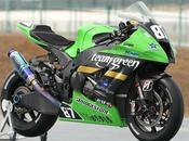 Kawasaki ZX-10R Team Green Japan Superbike 2013