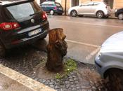 alberi mozzati lasciati fare cestino rifiuti. cosa vedi riconosci subito foto riferisce Roma...