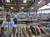 Dubai Fish Market [people]