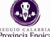 Vinitaly 2013 Reggio Calabria Provincia Enoica
