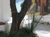 POSITANO: passione Signore