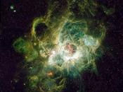 Lunedì Desueto n°24 Nebulone