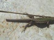 Quando sensibilizzare conta davvero: storia mani.