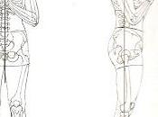 Hatha Yoga: TADASANA postura della montagna