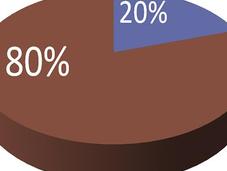 principio Pareto legge 80/20)