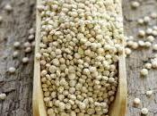 Bolivia allarme alimentare: troppo alto consumo quinoa