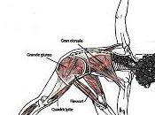 Hatha Yoga: PARIVRTTA TRIKONASANA postura triangolo rotazione