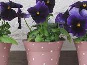 Vasetti viole...