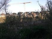 Tutta fatica trovare nuova discarica quando piena città: Tevere. Ecco cosa succede Marconi