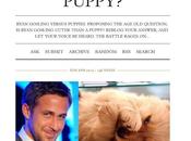 Ryan Gosling cuter than puppy?