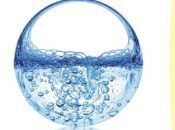 Vivi l'attimo fuggente cambia tuoi paradigmi! Estratto libro 'Manuale ben-essere'