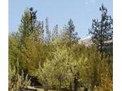 bellissima giornata fattoria nostri bimbi!