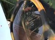 Delirious eyewear sunglasses.