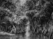 Riflesso