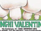 Funghi Valentina: freschi, buoni naturali!