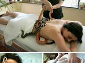 Massaggiati serpenti: Snake therapy