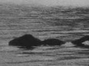 storia delle fotografie false Nessie, mostro Loch Ness