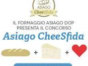 Panino d'autore CheeSfida Asiago