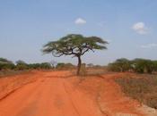 Porta" Spazio Poesia