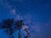 Stelle cadenti primavera