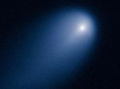 cometa ISON fotografata Hubble Space Telescope