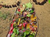 giochi fare all’aria aperta bambini