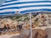 Cagliari: Beach Margine Rosso
