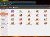 Come installare Nautilus Patch SolusOS Ubuntu 13.04