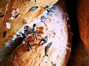 TRECCE ALL'OLIO PROFUMATE TIMO (Bread with thyme)