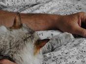 PRESENTAZIONE dell'antologia "Speechless Love Amore senza parole" Autori Vari Cuccia"