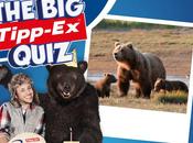 Cacciatore l’Orso presentano Tipp-Ex Quiz