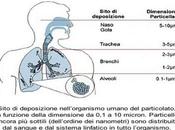 particolato sottile all'origine ictus