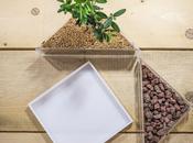 Festival verde paesaggio: 17-18-19 maggio 2013 Auditorium Parco della Musica