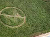 Ogm: marcia contro Monsanto