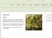 Piante carnivore