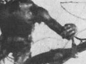 dinosaur missing link: prehistoric tragedy Willis O'Brien (1915)