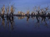 Riemergere Argentina