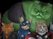 Avengers gatti Vendicatori
