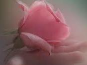 amore…
