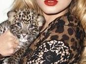 Lily Donaldson photographed Dolce Gabbana Harper's Bazaar