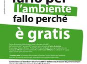 solo blog.