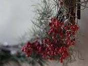 NEWS: Tillandsie ghirlande natalizie