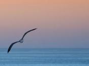 felicitààà…ti persa ieri oggi ritrovo giààà…tristezza vaaa!