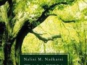 libro natale: terra cielo