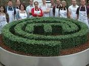 stasera alle LeiTv (Sky 127) "MasterChef Dove tutto ebbe inizio"