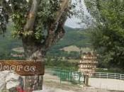 centro estivo nella natura corsi equitazione grandi piccoli alle Querce Sarnano (Mc)